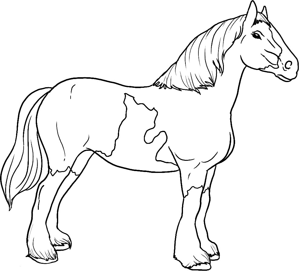 Imprimir dibujos para colorear - caballo, para niños y niñas